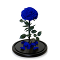 Eternal Rose Dome - Royal Blue