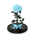 Eternal Rose Dome - Tiffany Blue