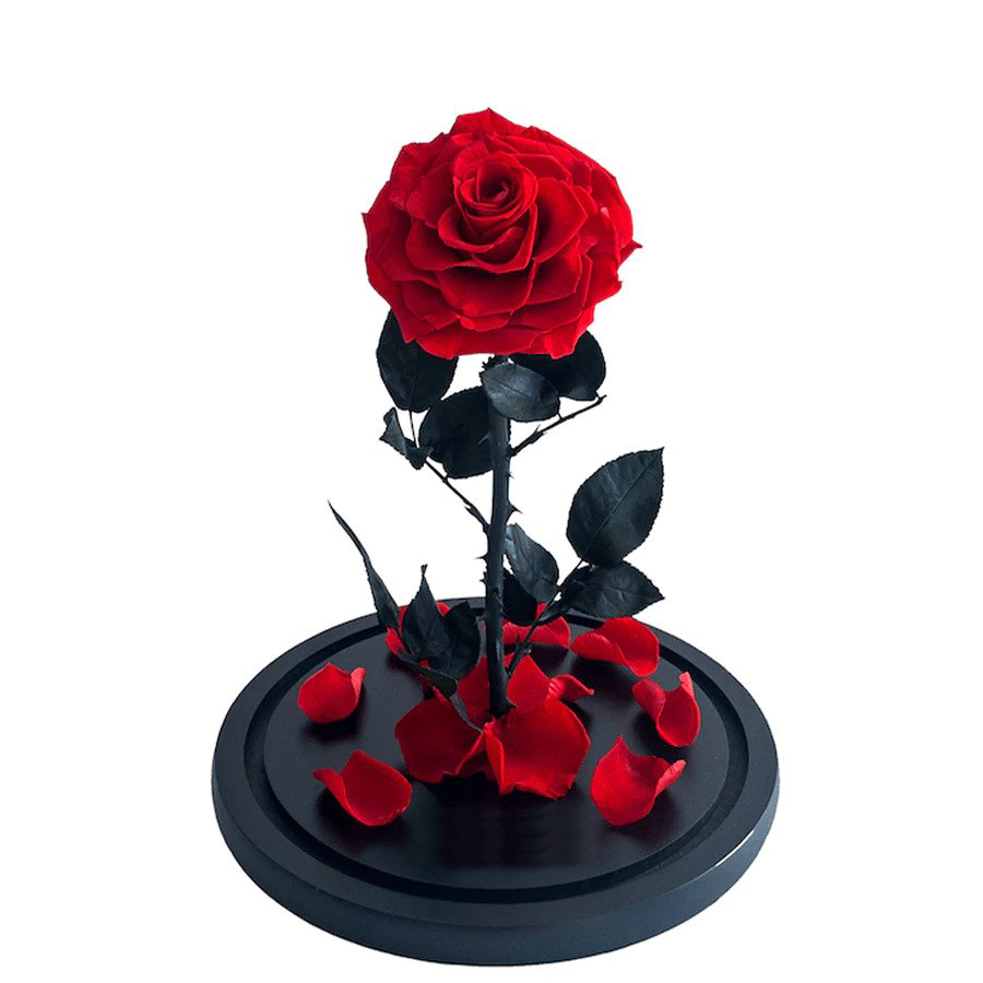 Eternal Rose Dome - Red